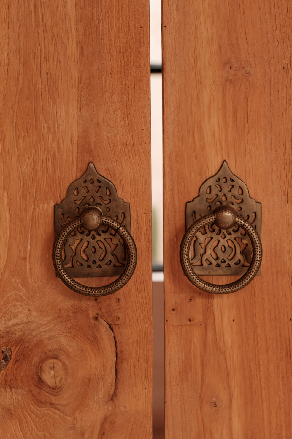 Tropical Home Ornate Door Handle on Wooden Door