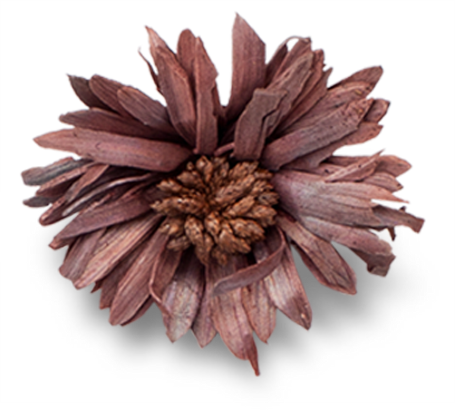 Dried Flower Cutout